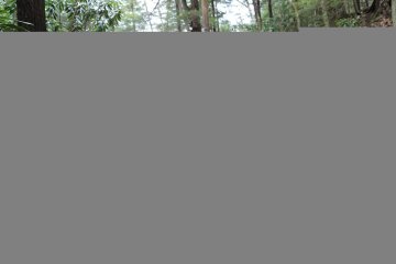 Abby Opel Nude Outdoor River Posing OnlyFans Set Leaked